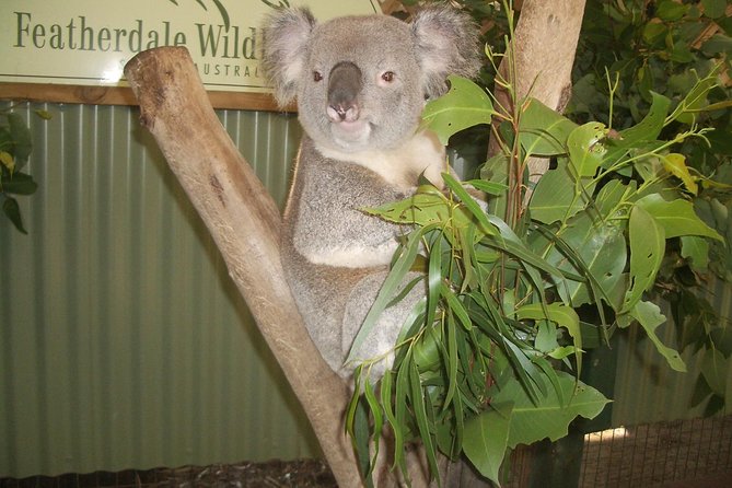 Blue Mountains Tour PRIVATE with Wildlife Park and River Cruise - A full day from Sydney to the Three Sisters