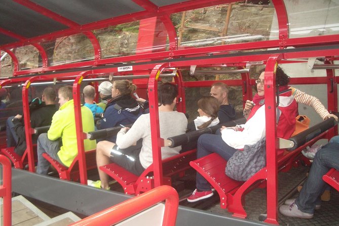 Blue Mountains Tour PRIVATE with Wildlife Park and River Cruise - Leura, a short village stop