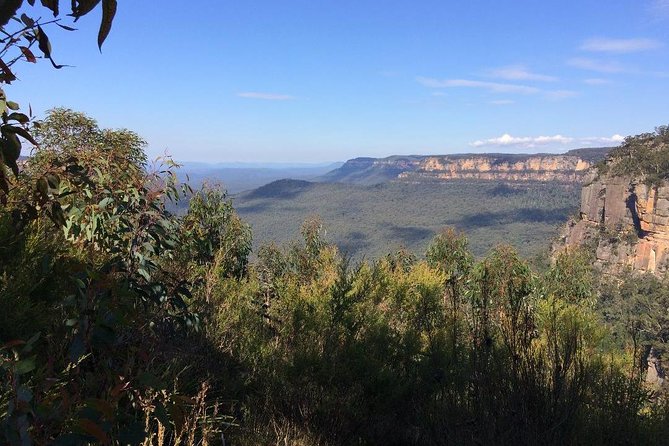 Blue Mountains Tour PRIVATE with Wildlife Park and River Cruise - Australian animals at Sydney Zoo or Featherdale