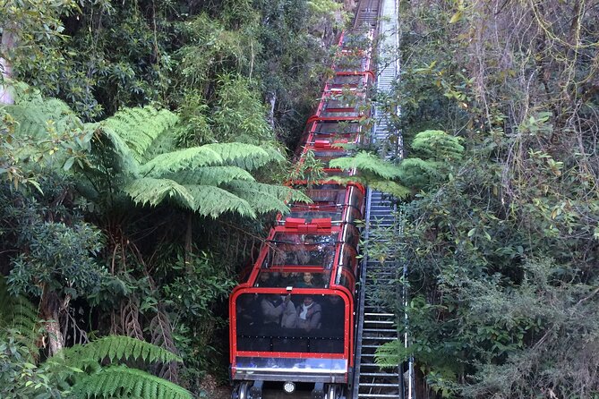 Blue Mountains Tour PRIVATE with Wildlife Park and River Cruise - The ferry ride to Sydney Harbour