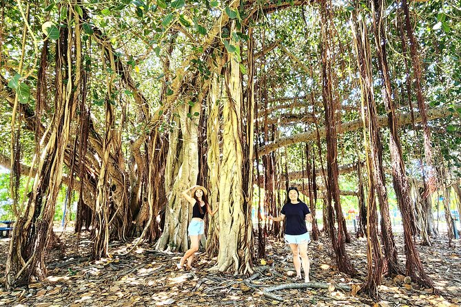 Bowen Beaches Discovery-Top of the Whitsundays - Food, swimming, and practical details