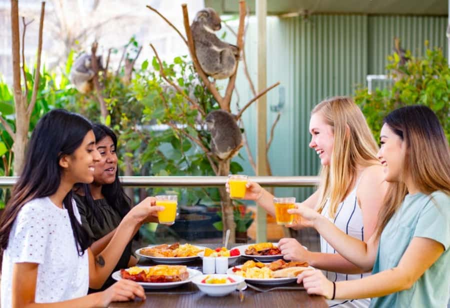 Breakfast with Koalas at WILD LIFE Zoo Darling Harbour - Key points at a glance