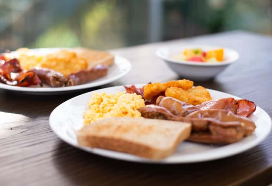 Breakfast with Koalas at WILD LIFE Zoo Darling Harbour - Should you book Breakfast with Koalas?