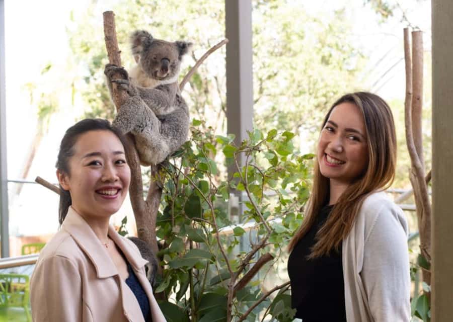Breakfast with Koalas at WILD LIFE Zoo Darling Harbour - The 7:30 highlights tour with a WILD LIFE keeper