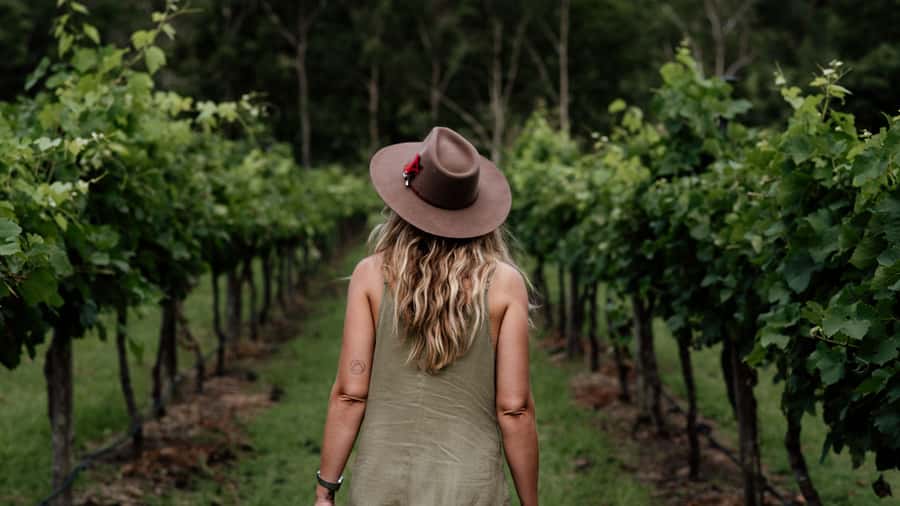 Brisbane: Boutique Winery Tour with Gourmet Lunch - Key points to know before booking