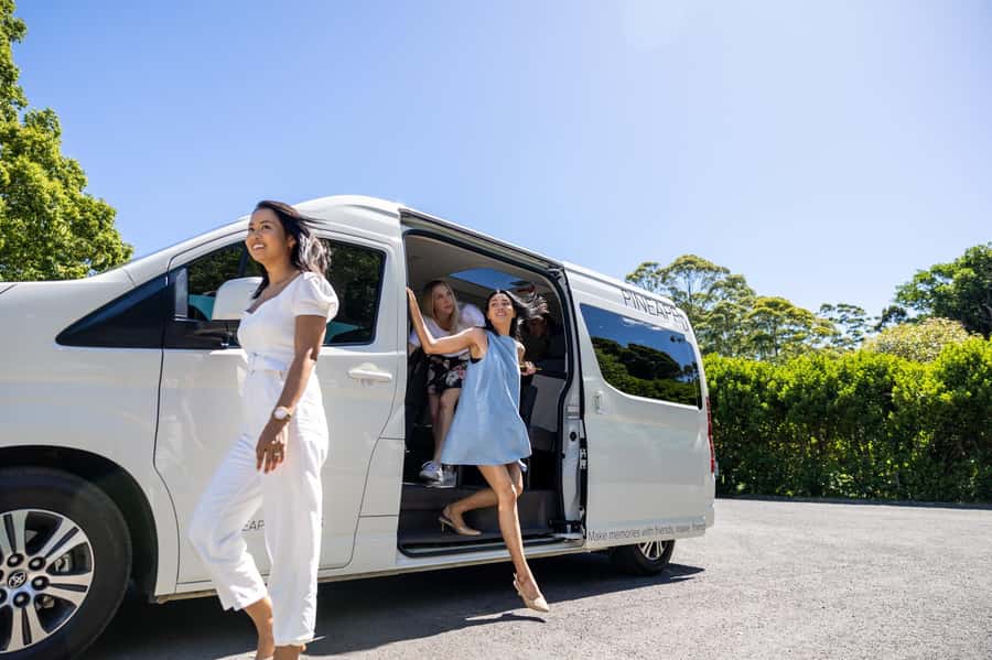Brisbane: Boutique Winery Tour with Gourmet Lunch - Why Tamborine Mountain works for a wine day