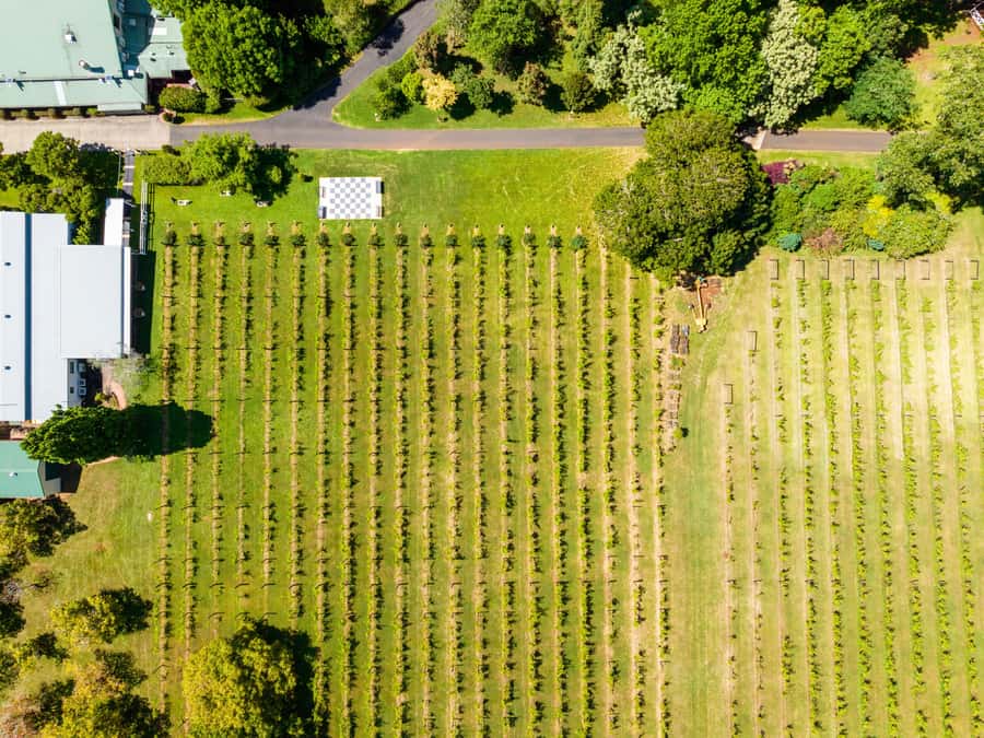 Brisbane: Boutique Winery Tour with Gourmet Lunch - The secret stop, local snacks, and scenic views