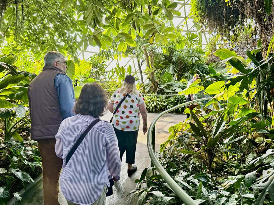 Brisbane Bus Tour: City highlights | Small group | Snack - Why Mount Coot-tha is the right place to start