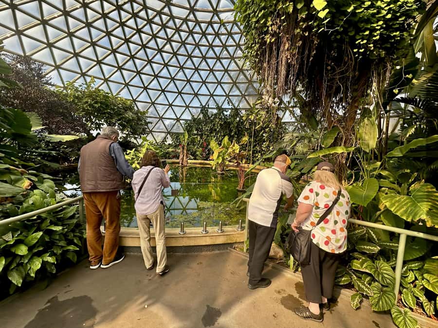 Brisbane Bus Tour: City highlights | Small group | Snack - South Bank shows Brisbane’s public side