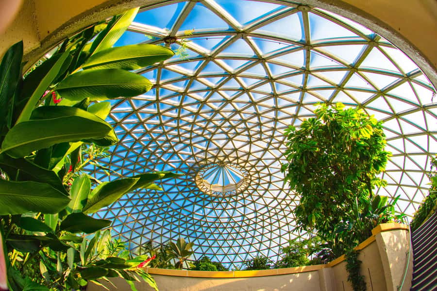 Brisbane Bus Tour: City highlights | Small group | Snack - What the $84 price covers