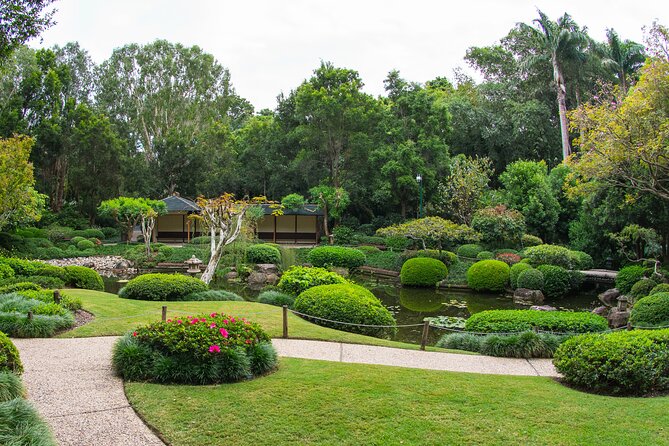 Brisbane Bus Tour: Max 10 people | Half Day | Morning tea inc. - A local guide makes the short stops work