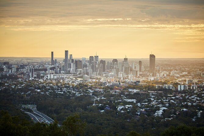 Brisbane Bus Tour: Max 10 people | Half Day | Morning tea inc. - City centre commentary before the views
