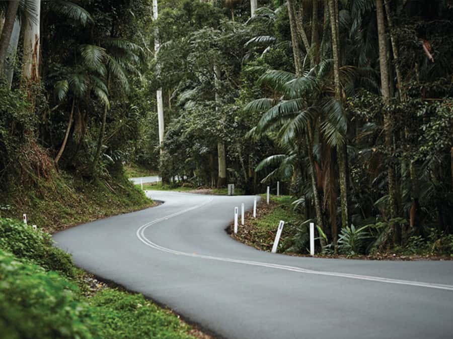 Brisbane: Daytime Glow Worm Caves Hop-on Hop-off Bus Tour - Key points to know before booking