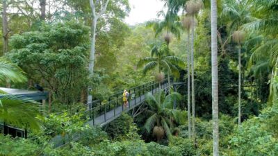 Daytime Glow Worm Caves Hop-on Hop-off Bus Tour