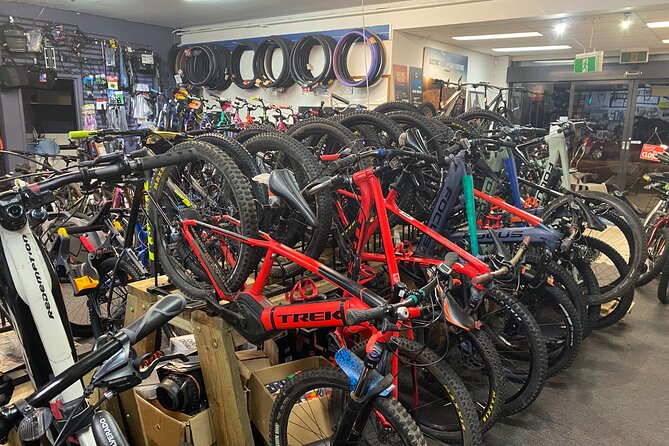 Brisbane Electric Mountain Bike Experience Tour - Photos, feedback, and a useful finish