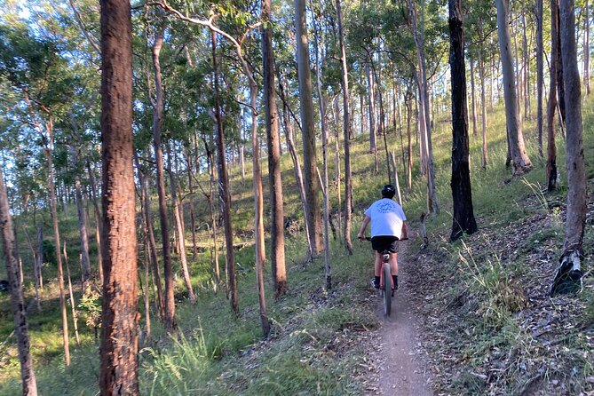 Brisbane Electric Mountain Bike Experience Tour - Is $135.56 a fair price?
