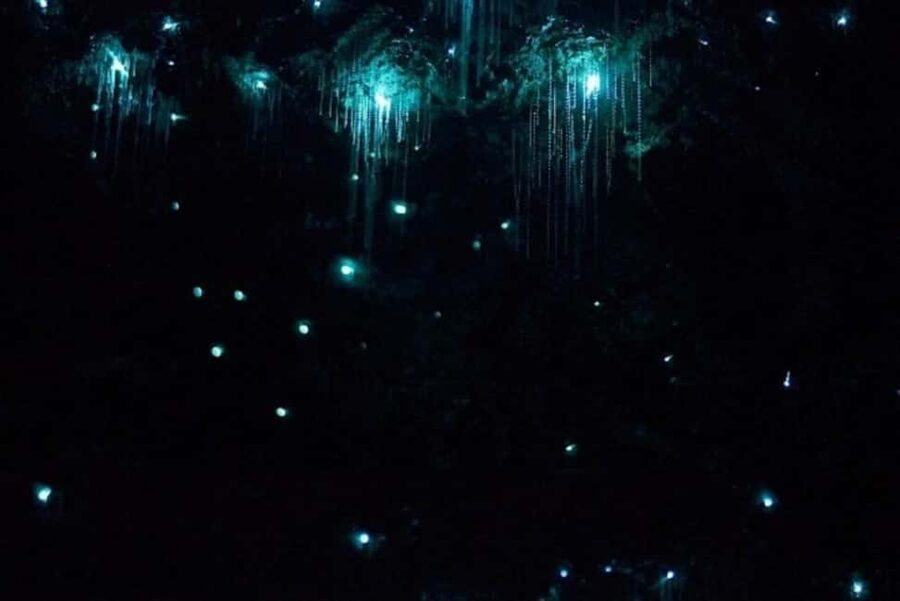 Brisbane: Glow Worms, Sunset, Star Gazing & BBQ - Sunset, wine, and a scenic dinner