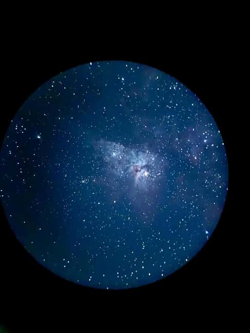 Brisbane: Glow Worms, Sunset, Star Gazing & BBQ - Is $131 a fair price?