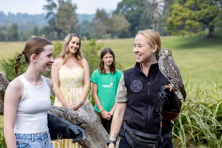 Brisbane: Lone Pine Koala Sanctuary Day Pass - Booking flexibility and the small print
