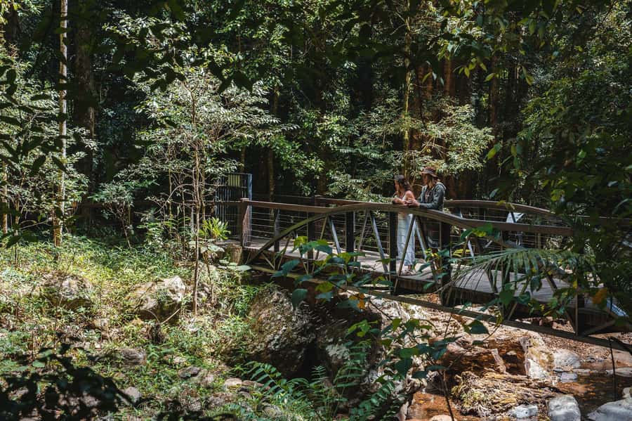 Brisbane: Rainforests, Waterfalls and Glow Worm Cave Tour - Why this Brisbane nature tour works