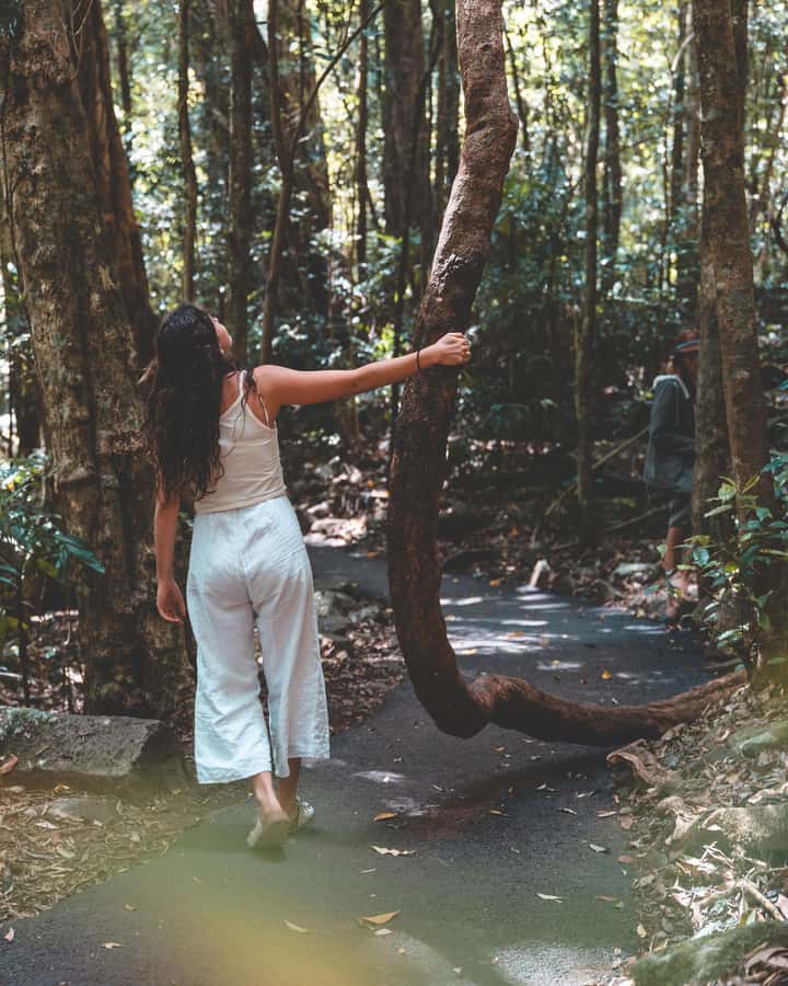 Brisbane: Rainforests, Waterfalls and Glow Worm Cave Tour - Hang Glider Lookout and the Scenic Rim