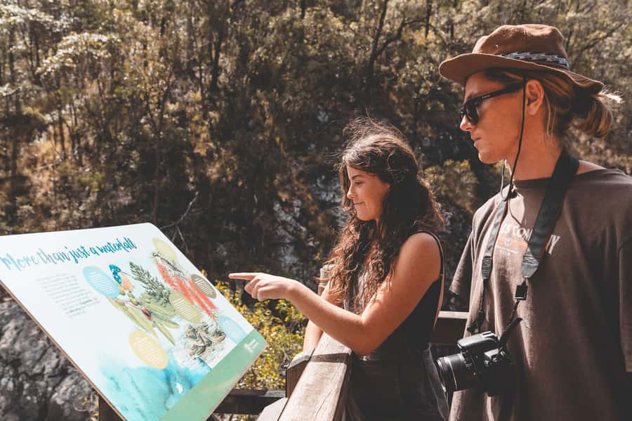 Brisbane: Rainforests, Waterfalls and Glow Worm Cave Tour - Gallery Walk, lunch, and local browsing