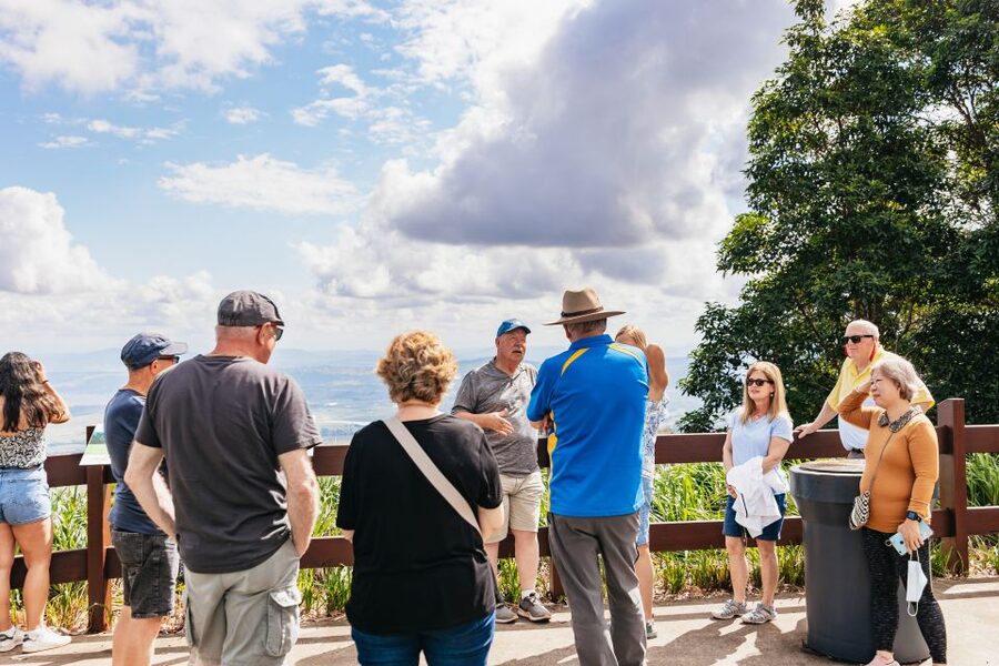 Brisbane: Rainforests, Waterfalls and Glow Worm Cave Tour - Through Numinbah Valley to Springbrook