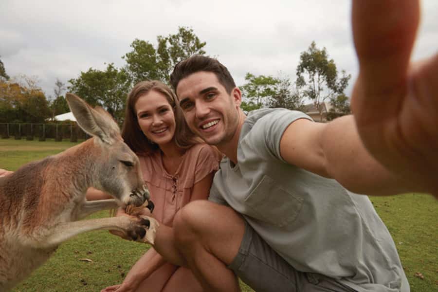 Brisbane River Cruise and Koala Sanctuary Visit - Key points to know before booking
