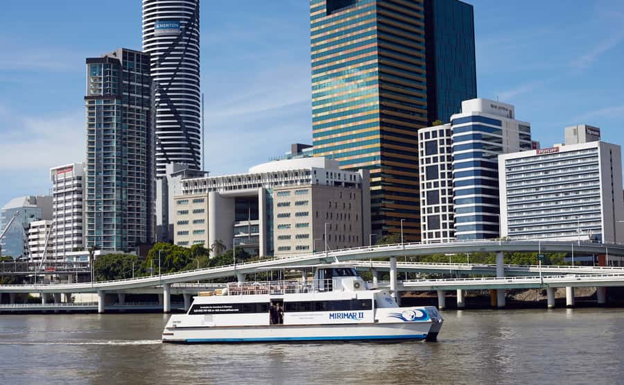 Brisbane River Cruise and Koala Sanctuary Visit - Koala photos and animal encounters