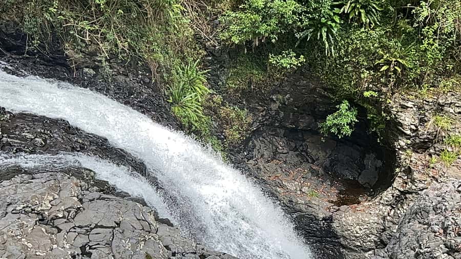 Brisbane: Springbrook and Mt Tamborine Glow Worm and Skywalk - Key points to know before booking