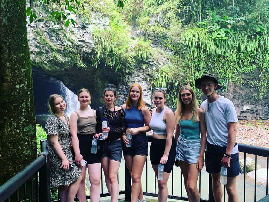 Brisbane: Springbrook and Mt Tamborine Glow Worm and Skywalk - Who should book this tour