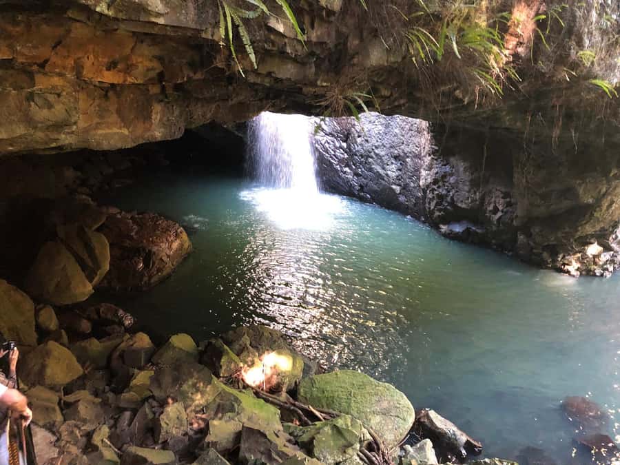 Brisbane: Springbrook and Mt Tamborine Glow Worm and Skywalk - Springbrook’s Natural Bridge and creek walk