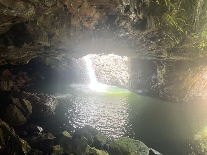 Brisbane: Springbrook and Mt Tamborine Glow Worm and Skywalk - What the glow worm cave is really like