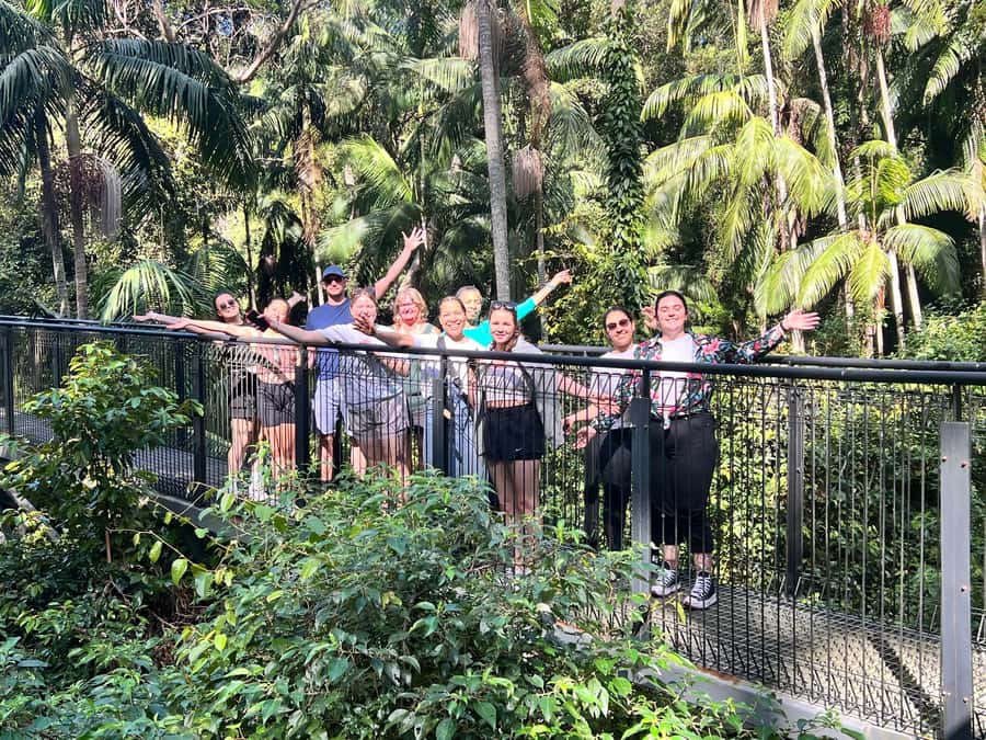 Brisbane: Springbrook and Mt Tamborine Glow Worm and Skywalk - Tamborine Rainforest Skywalk delivers the big finish