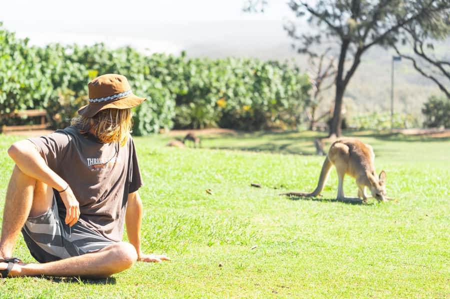 Brisbane: Stradbroke Island Eco Tour - Small Group, Full Day - Why North Stradbroke Island makes a strong Brisbane day trip