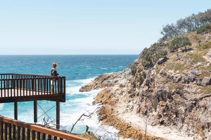 Brisbane: Stradbroke Island Eco Tour - Small Group, Full Day - The return crossing closes a packed day