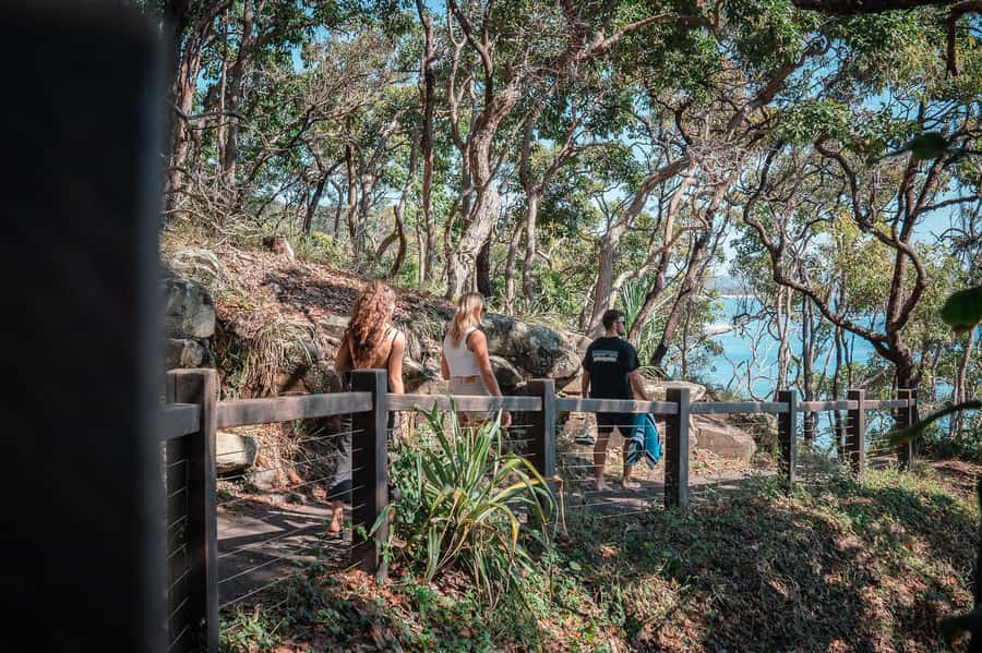 Brisbane: Sunshine Coast Hinterland & Noosa Scenic Tour - Meeting the van in central Brisbane