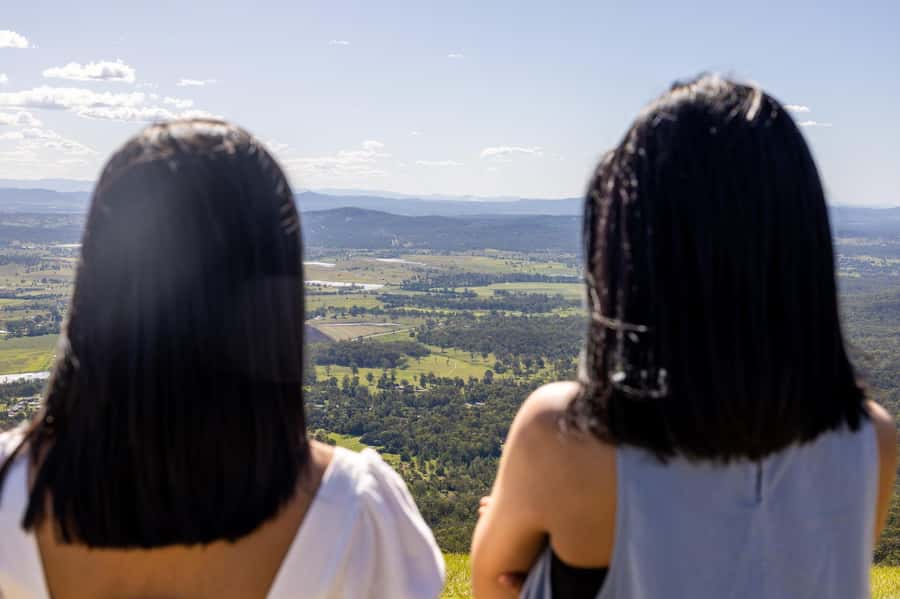 Brisbane: Tamborine Mountain Local Winery Tour with Lunch - Scenic lookouts add the mountain character