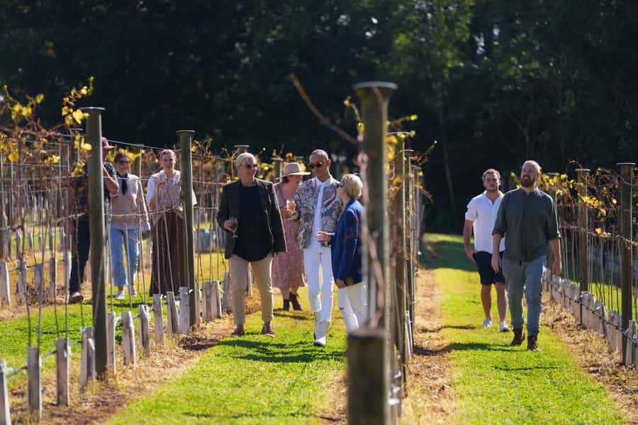 Brisbane: Tamborine Wine & Distillery Tour - Tamborine Mountain Distillery brings a different flavour