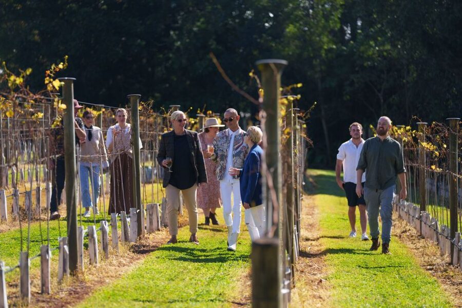 Brisbane: Tamborine Wine & Distillery Tour - Snacks, water, and the practical value of $134