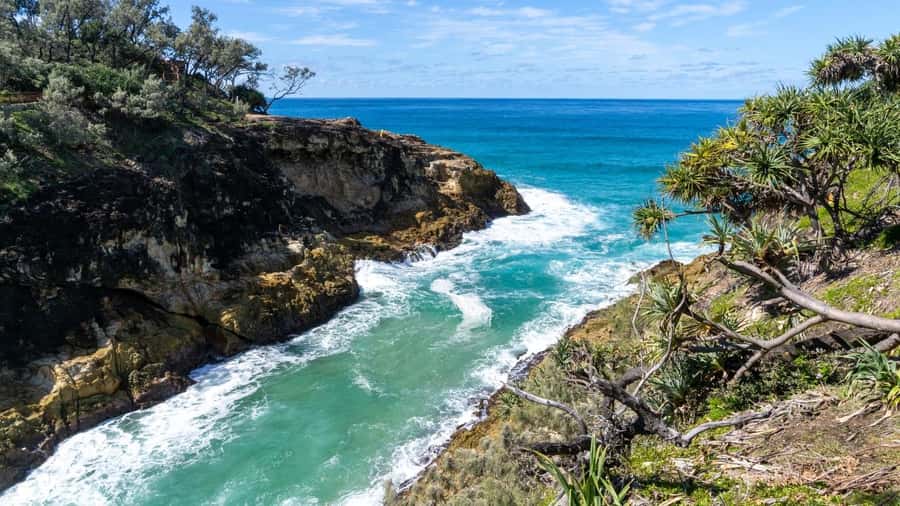 Brisbane to North Stradbroke Island Day: Wildlife & Beaches - Why this North Stradbroke Island day works so well