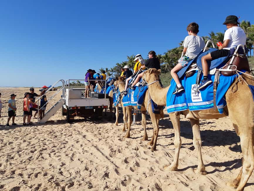 Broome: 45-Minute Pre-Sunset Cable Beach Camel Ride - Alison Bird’s safety briefing and camel matching