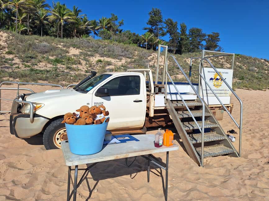 Broome: 45-Minute Pre-Sunset Cable Beach Camel Ride - Camel stories, photos, and the human touch