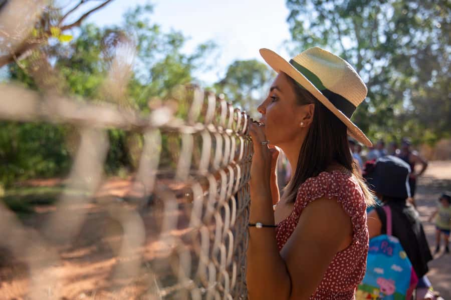 Broome: Malcolm Douglas Crocodile Park Tour with Transfers - Meeting Broome’s saltwater crocodiles