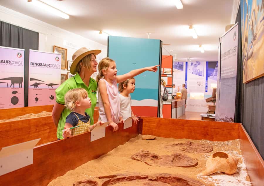 Broome: Matso's Brewery, Museum & Crocodile Park Combo Tour - Is $92 good value?