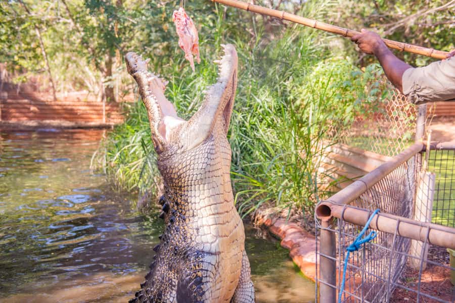 Broome: Matso's Brewery, Museum & Crocodile Park Combo Tour - Taking a break at Matso’s Brewery