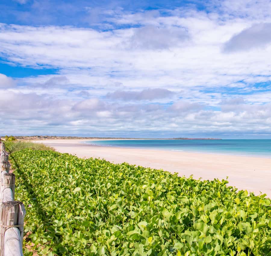Broome: Panoramic and Discovery - Morning Tour w/ Transfers - Why this short Broome tour works so well