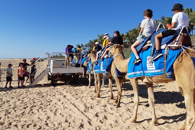 Broome Pre-sunset Camel Tour 30 minutes - Key points to know before you book