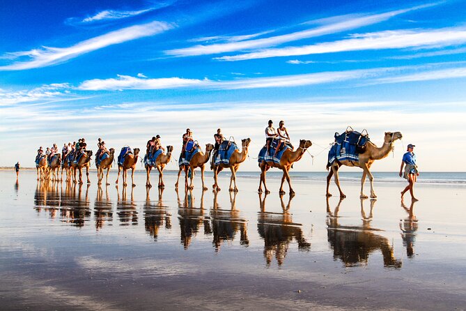 Broome Pre-sunset Camel Tour 30 minutes - The 30-minute ride along the beach