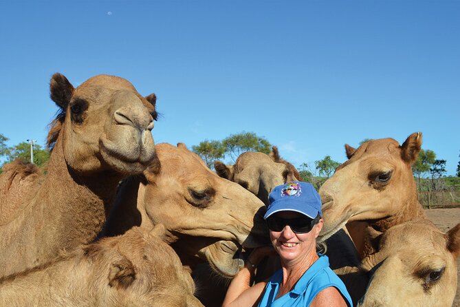 Broome Pre-sunset Camel Tour 30 minutes - Weather, clothing, and the best time to go